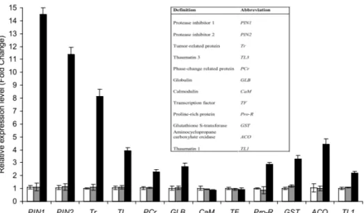 Figure 1: RT-qPCR analysis of the expression of grapevine genes in roots of Kober 5BB rootstocks.