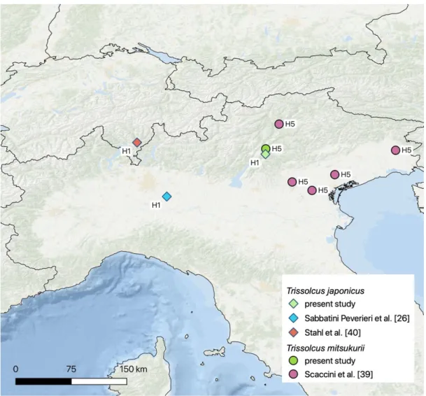 Figure 4. Current distribution of Trissolcus japonicus (diamonds) and Trissolcus mitsukurii (circles)  haplotypes, showing records from the present study and adapted from Sabbatini Peverieri et al