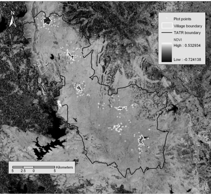 Figure  1.  Study  area  map  showing  the  location  of  the  211  field  plots  overlaid  on  a  Normalized  Difference  Vegetation  Index  derived  from  a  Landsat  ETM+  image  of  29th  October 2001