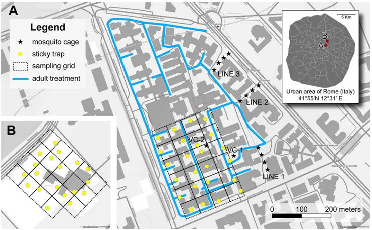 Fig 1. Map of study sites in Rome (Italy). (A) Sapienza University hospital “Policlinico Umberto I” = insecticide treated site (right panel); dark