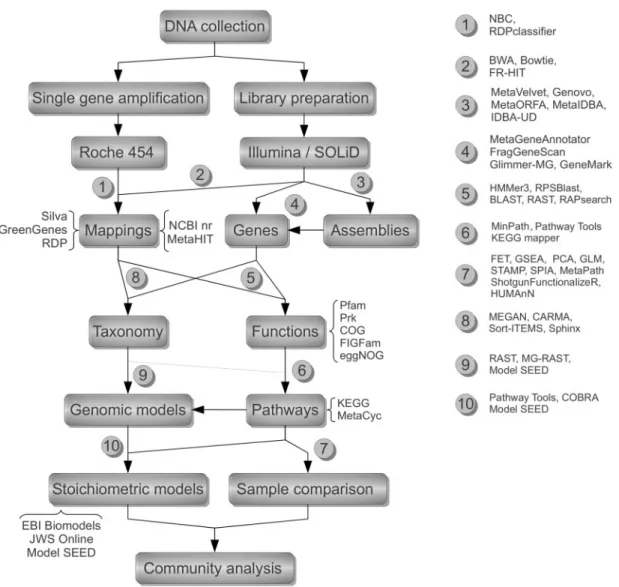 Figure 1: Flowchart of the main steps and bioinformatics tools required for pathway reconstruction from metagenomics surveys