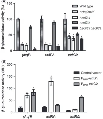 Figure 1. Expression of phyR-gusA, ecfG1-gusA and ecfG2-gusA transcriptional reporter fusions