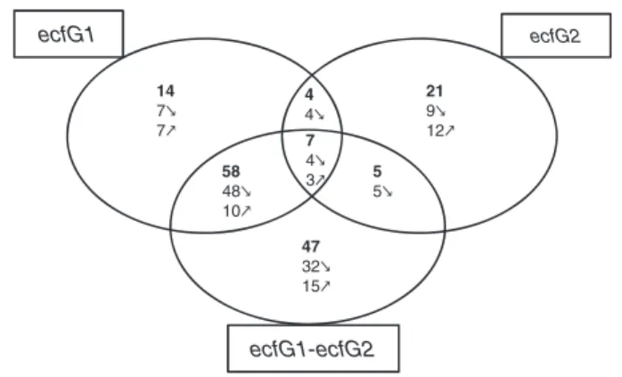 Figure 2. r EcfG1 -, r EcfG2 - and r EcfG1 - r EcfG2 -dependent gene expression. Venn diagram of all differentially expressed genes in DecfG1, DecfG2, and DecfG1DecfG2 mutants compared to the  wild-type strain R