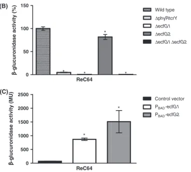 Figure 3. Transcriptional control of ncRNA ReC64 expression. (A) Identification of the transcription initiation site of ReC64 by 5 ′ RACE
