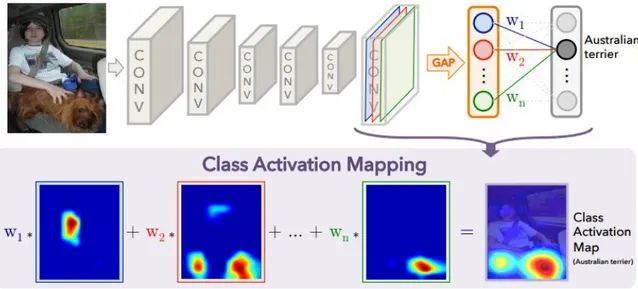 Figure 3.1: Class activation maps (CAM). This picture is taken from the original paper [83]
