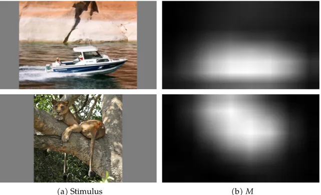 Figure 3.2: Convolutional feature (CF) activation map M. In column 3.2a, examples of images from CAT2000 [8]