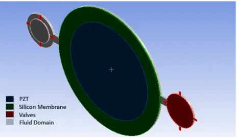 Figure 2. A 3-D scheme of the proposed micropump.