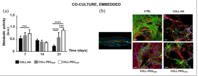 Figure 6.  Immunoblots on co-cultures of cortical neurons and glial cells. Western blot quantification on days 7 and 14 to detect  (a) PSD-95, (b) Synaptophysin, (c) NR-1, (d) GFAP, in co-cultures of cortical neurons and glial cells embedded in 1.5 mm-thic