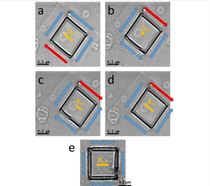 Figure 3: L-TEM images of square rings, showing the magnetization directions under different magnetic fields B eff  and at remanence after applying an external magnetic field B ext 