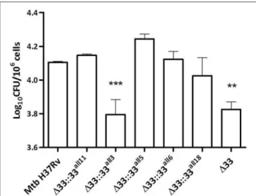 FIGURE 3 | Frameshift mutation in pe_pgrs33 negatively affects the protein-mediated entry of Mtb into murine macrophages