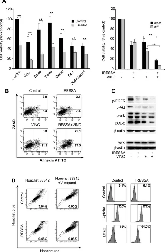 Figure 5. IRESSA treatment reduces LMS stem-like cell growth rate and sensitizes them to chemotherapy