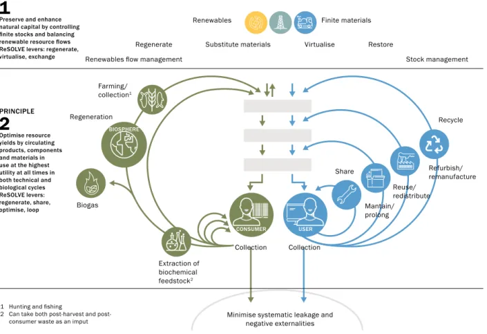 Figure 1.1. The Circular Economy according to the Ellen MacArthur Foundation