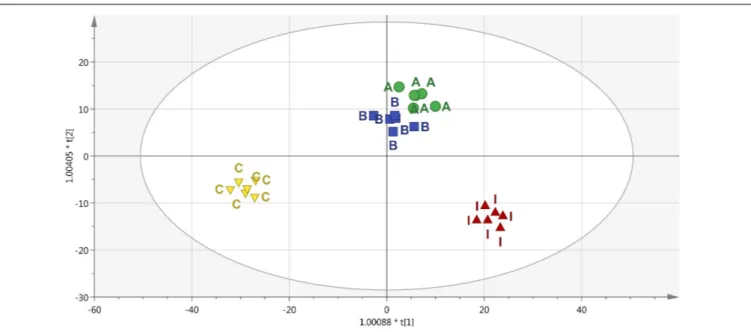FIGURE 6 | Score plot of Orthogonal Projection to Latent Structures Discriminant Analysis (OPLS-DA) supervised modeling carried out on metabolomic profiles following application of selected protein hydrolysates