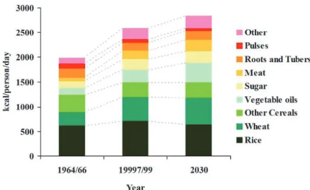 Figure 1: Global progress in food consumption. Source: FAO, 2009