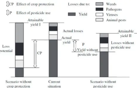 Figure 9. Effects of crop protection on crop losses and yield levels (from Oerke, 2006)