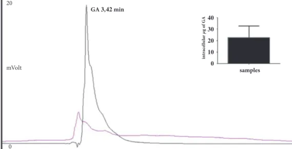 Figure 1: Chromatographic profiles of HepG2 lysates. In intracellular sample, incubated for 2h with GA, a signal that corresponds to a substance with the same elution time of GA was found (black); the described signal was not present in the untreated sampl