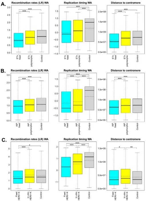 Fig 2. Boxplots of significant low-resolution features (i.e. recombination rates, replication timing, and distance to centromere) measured for the flanking regions of fixed and polymorphic (or in vitro) ERVs, and for control regions