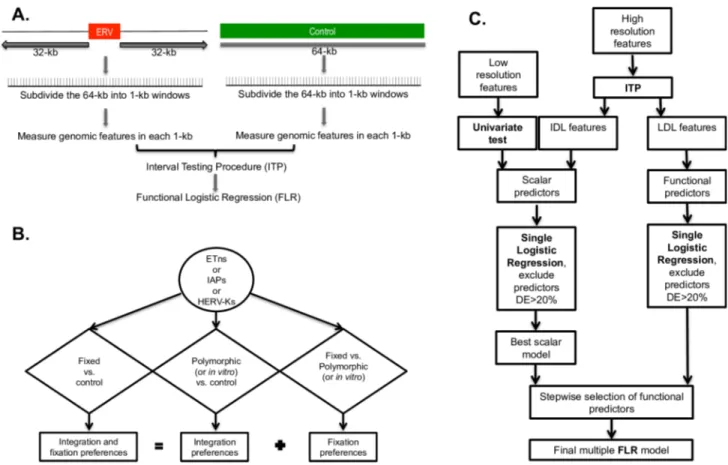 Fig 1. Workflow of the methodology employed to compare the flanking regions of ERVs versus control regions