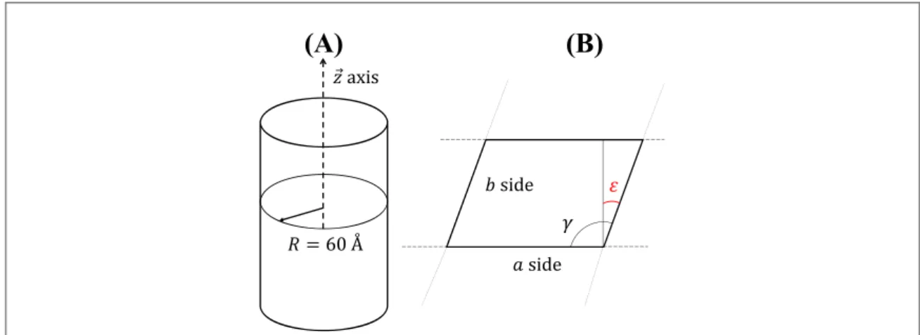 Figure A1. (A) Schematic cylindrical structure of each model. The cylindrical axis corresponds to the z 