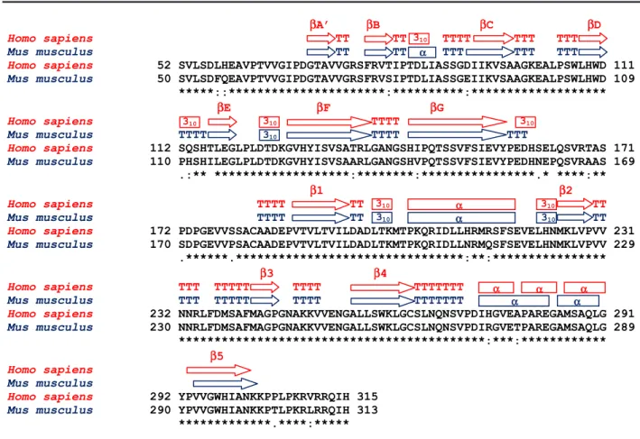 Table 1. Sequence alignment.