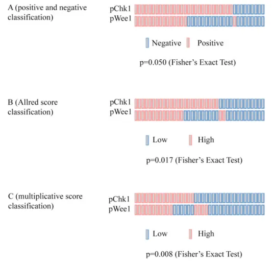 Fig 3. OncoPrints showing the association between pWee1 and pChk1 in 37 cervical cancer samples.