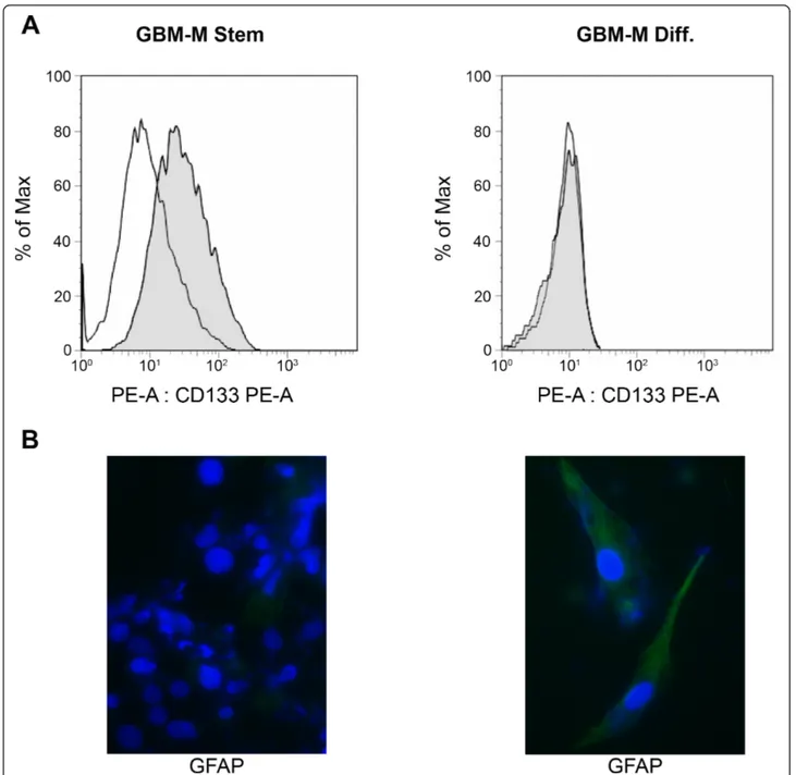 Figure 5 Molecular characterization of stem and differentiated GBM cells. (A) GBM stem cell spheres were stained with PE and CD133-PE and then processed by flow cytometry