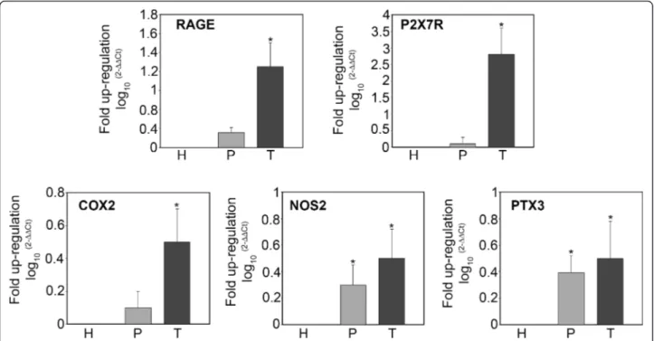 Figure 7A shows that hypoxia influenced the expres- expres-sion of pro-inflammatory genes and proteins in GBM stem cells