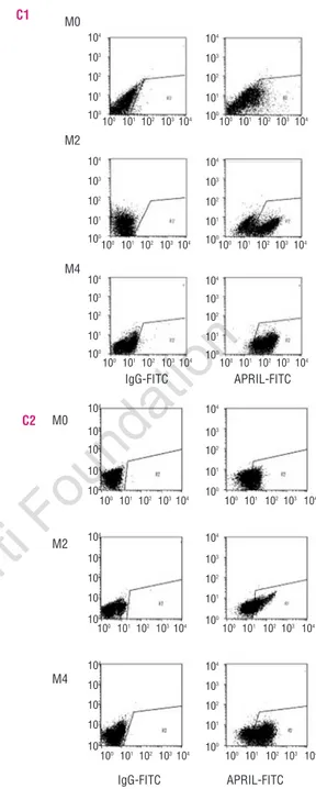 Figure 1. APRIL expression at mRNA and protein level in acute myeloid leukemia blasts