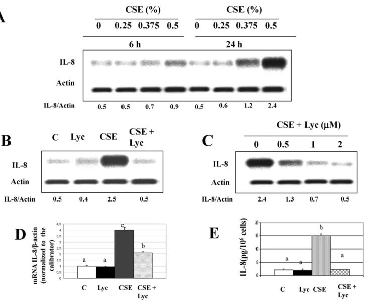 Figure 1. Effects of Cigarette smoke extract (CSE), alone and in combination with lycopene, on IL-8 production in human THP-1 cells