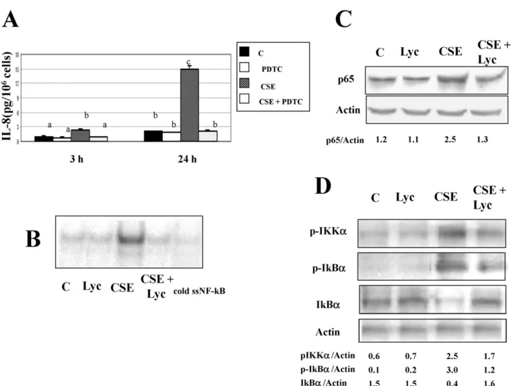 Figure 2. Effects of lycopene on CSE-stimulated NF-kB activation in human THP-1 cells