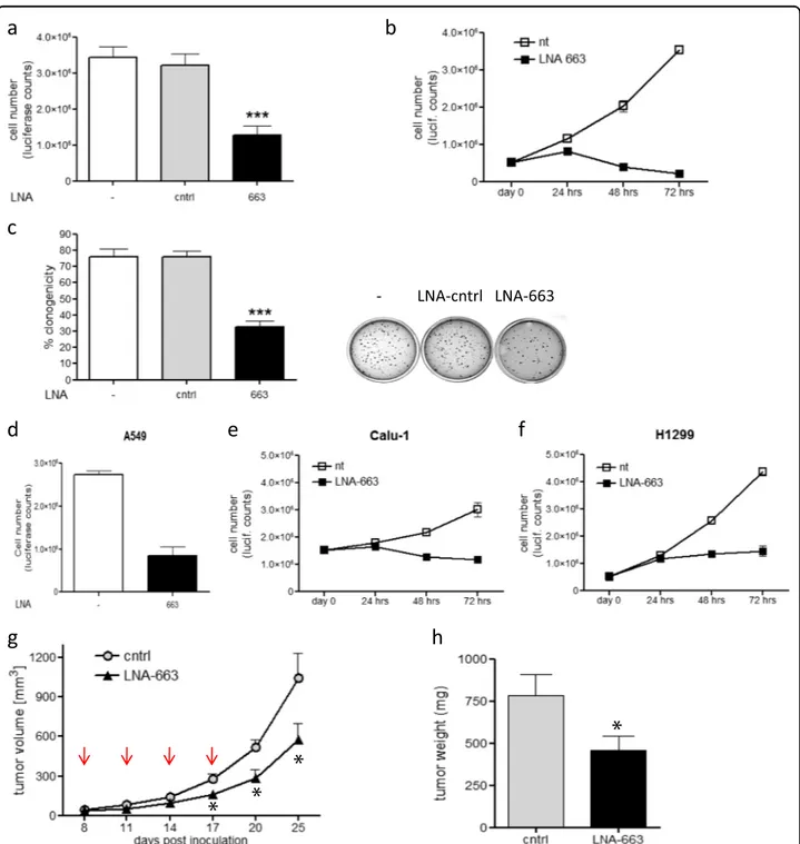 Fig. 1 miR-663 inhibition impairs cell viability and tumorigenic potential of NSCLC cells