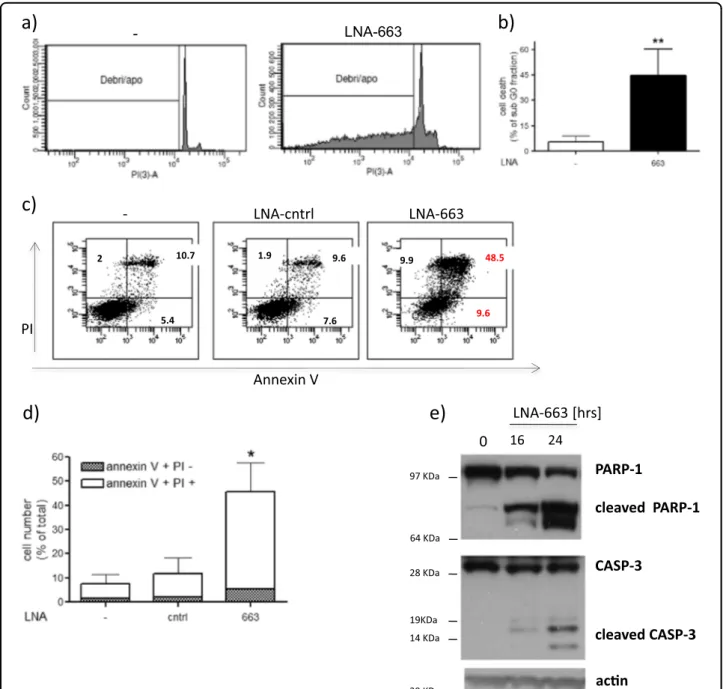 Fig. 2 miR-663 depletion induces apoptosis. The percentage of apoptotic NIH-H460 cells upon transfection with LNA-663 at 25 nM was analyzed by FACS and is shown as sub-G 0 fraction