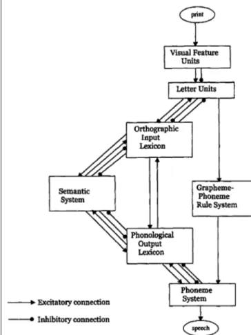 FIGURE 1 | The dual-route cascaded model. From “DRC: a dual route cascaded model of visual word recognition and reading aloud” by Coltheart et al