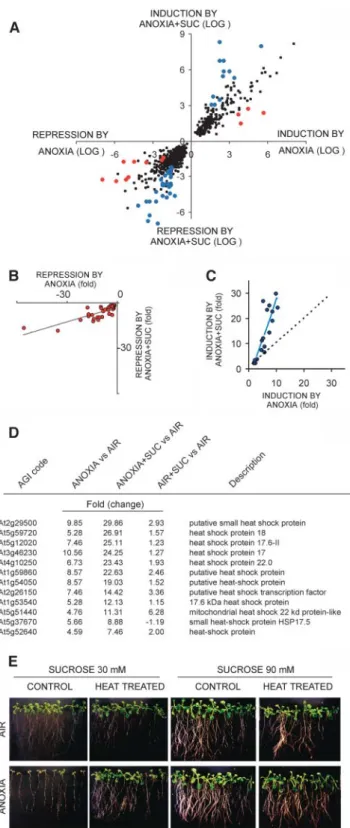 Figure 5. Effects of Suc on the anoxic transcriptome. A, Scatter plot showing the correlation between gene modulation under anoxia and under anoxia with exogenous Suc (ANOXIA 1 SUC)