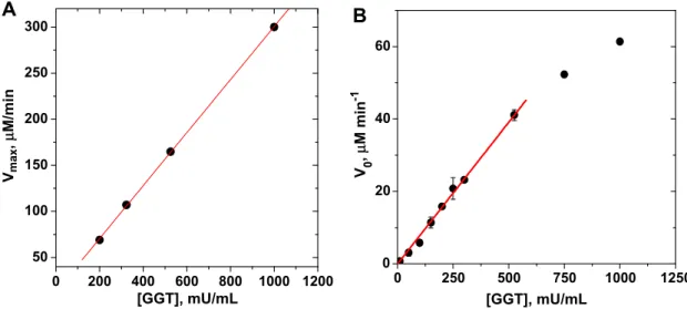 Fig. 7. (A) Plot of V max as a function of GGT concentration. Reaction conditions: 100 l M GSNO in 0.1 M PBS pH 8.0, at 37 °C, 0.1 mM CuSO 4 