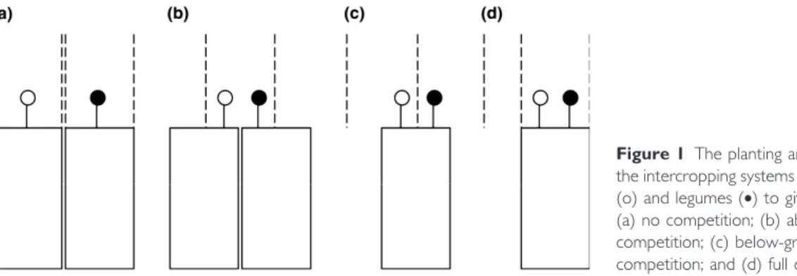 Figure 1 The planting arrangements of the intercropping systems between cereals (o) and legumes (•) to give: