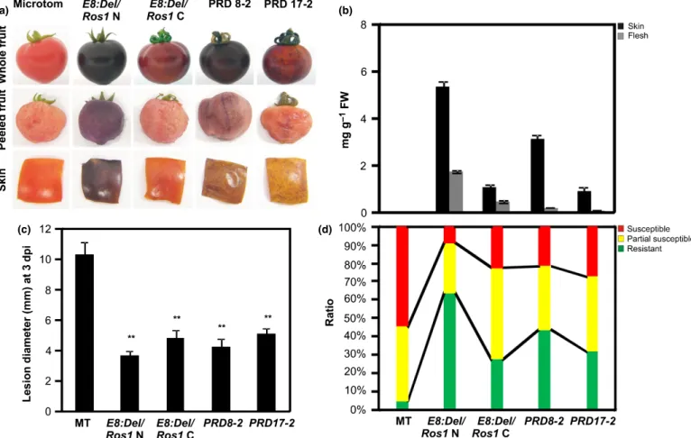 Fig. 4 PRD tomatoes show reduced Botrytis cinerea susceptibility. (a) Pictures of different anthocyanin enriched lines: E8:Del/Ros1 N and C, PRD 8-2 and 17-2 tomatoes (Solanum lycopersicum) were taken at the red stage and whole fruit, peeled fruit and skin