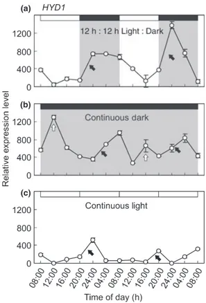 Fig. 2 Effect of day–night cycle on oxygen level and patterns of expression of ADH1 in Chlamydomonas cells