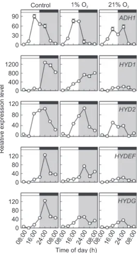 Fig. 8 Effect of anoxia on the expression level of ADH1, HYD1, HYD2, HYDEF, HYDG in Chlamydomonas cells