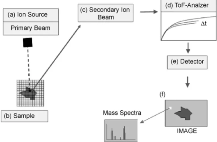 Fig. 1. A diagram of the main components and analysis steps of the SIMS technique: