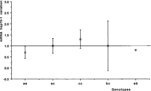 Fig 4. hsp70-1 Promoter region poly- poly-morphism. Relationship between the mean change of mRNA hsp70-1 for each observed genotype.