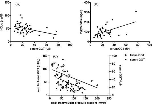 Fig. 3. Correlation of GGT activity levels with plasma lipids proﬁle and severity of aortic valve stenosis