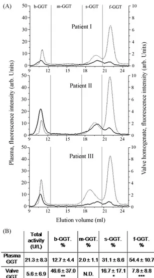 Fig. 4. GGT fraction analysis in serum and tissue of stenotic aortic valve patients.
