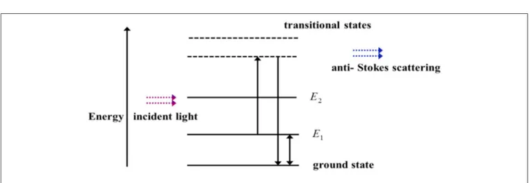 FIGURE 3 | Schematic of energy states in Raman anti-Stokes scattering.