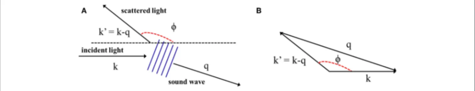 FIGURE 4 | (A) Schematic of Brillouin Stokes scattering. (B) Wave vector diagram showing interaction of incident light and sound wave.