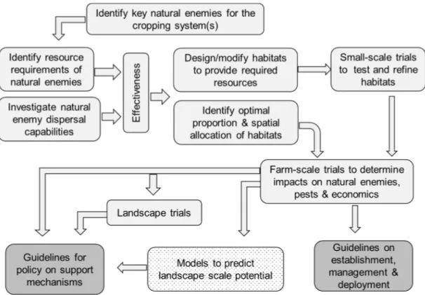 Figure 2. Process to exploit biocontrol potential of seminatural habitats. 