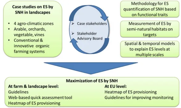 Figure 3. Conceptual scheme of QuESSA (Quantification of Ecological Services for Sustainable  Agriculture) project approach (ES = Ecosystem Services; SNH = Seminatural Habitats)