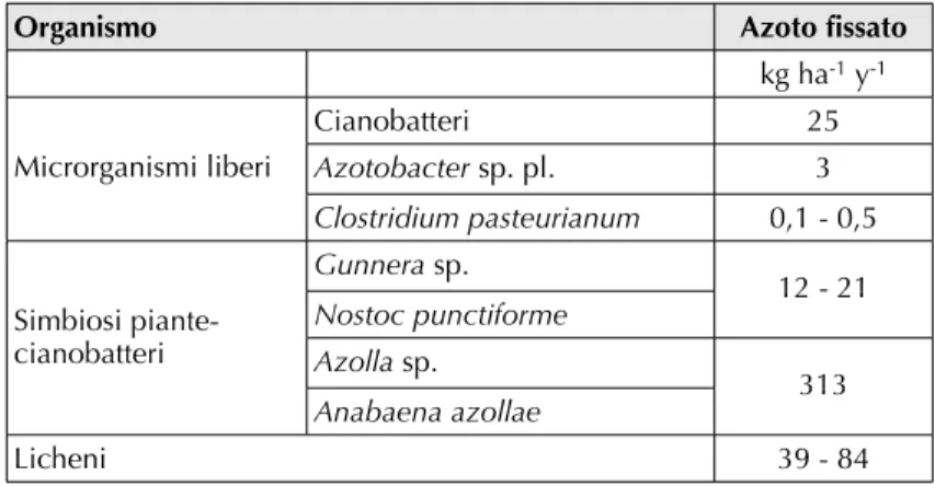 Tabella 4. Stima della quantità di azoto fissato biologicamente da organi- organi-smi non simbionti.