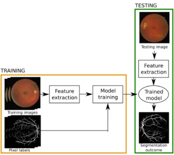 Fig. 3: Supervised approach workflow. During the training phase, image features (e.g. intensity, gradient, color) are  ex-tracted from the training images