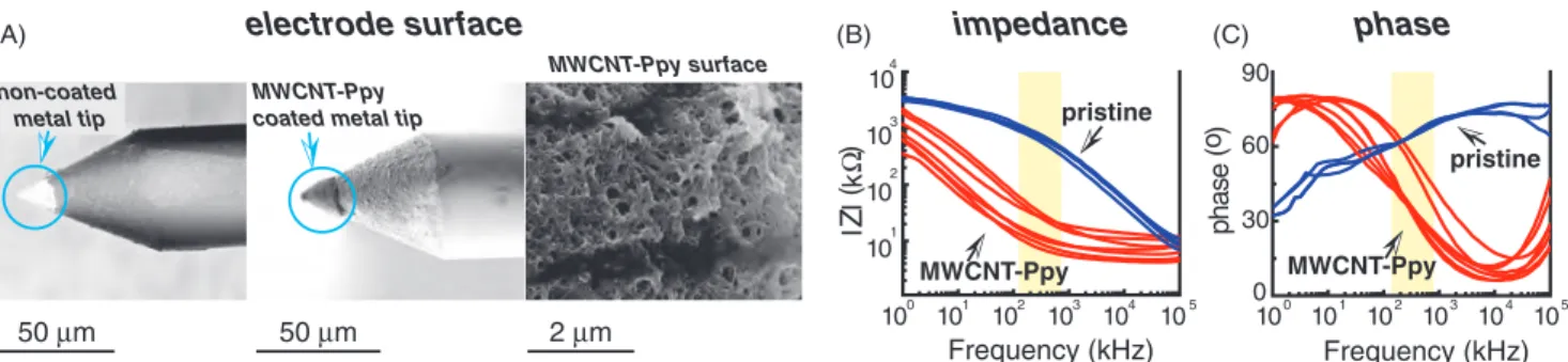 Figure 1. MWCNT–PPy coating strongly reduced the impedance of extracellular metal microelectrodes